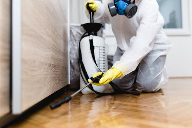 Best Wasp Removal Services  in North Judson, IN