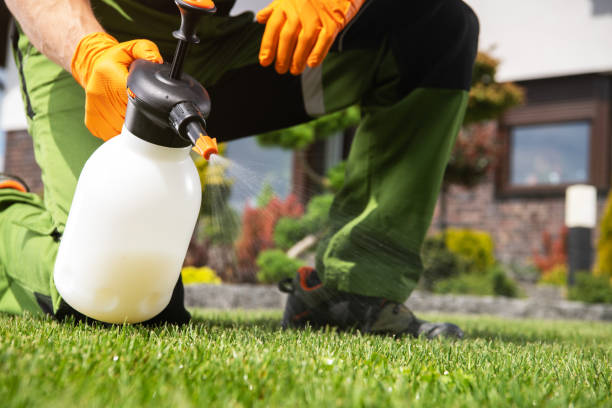 Best Residential Pest Control  in North Judson, IN