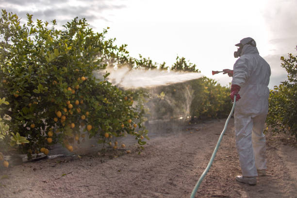 Best Pest Inspection Near Me  in North Judson, IN